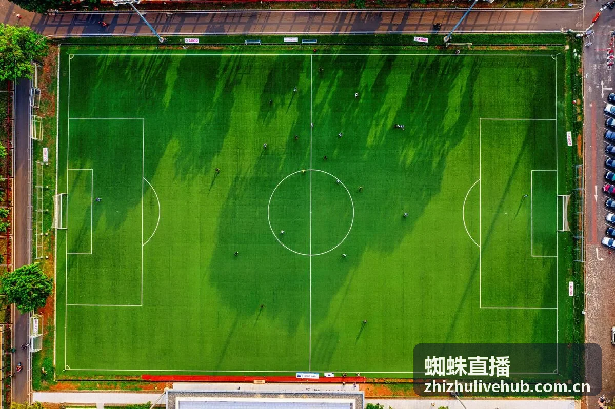 蜘蛛直播欧冠赛事频道封面